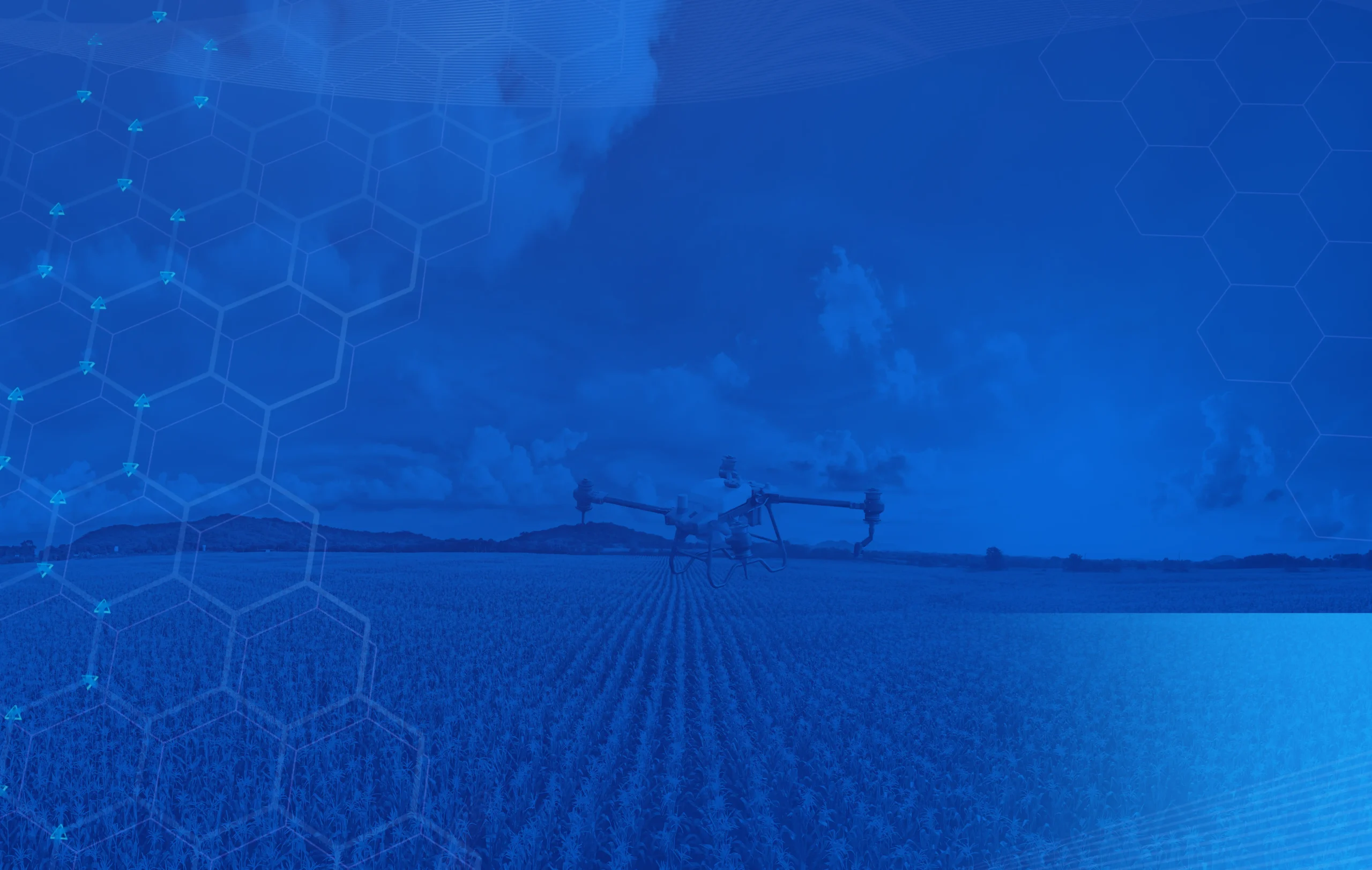 Background lidere um mercado em crescimento